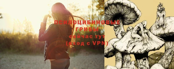 гашиш Абаза