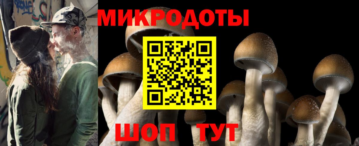 Галлюциногенные грибы GOLDEN TEACHER  Вход с VPN  Отрадный  Галлюциногенные грибы мицелий 